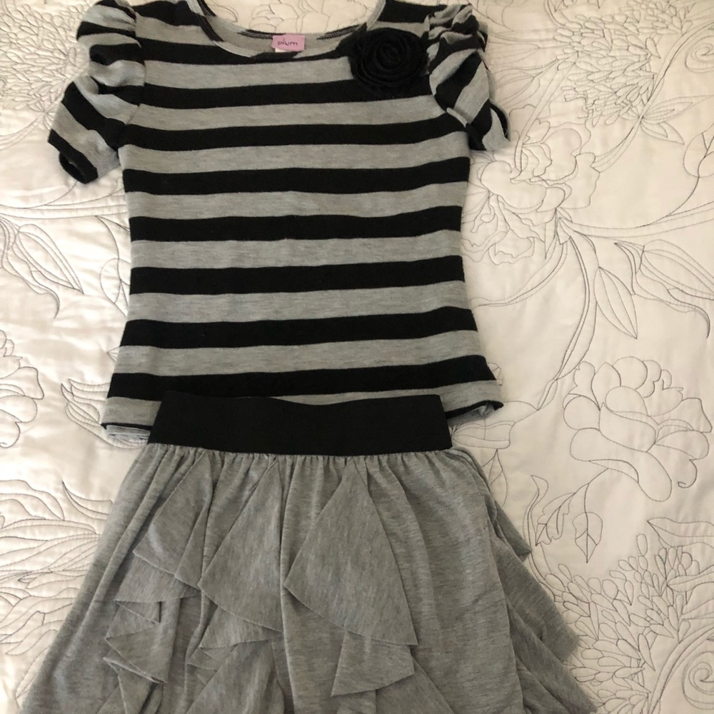 Adorable Plum Skirt with Top